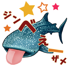 35 kind of Sharks JOKE stickers !