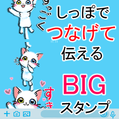 CAT.C Big sticker to connect and use