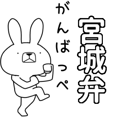 BIG Dialect rabbit [miyagi]