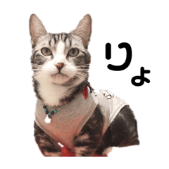 sayuri_20200817153050