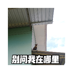 The Life of Peanut and Melon Seeds