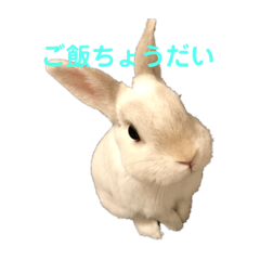 mimi_20200817163213