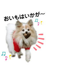 Haruna_20200817174645