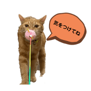 hioki_20200817205323