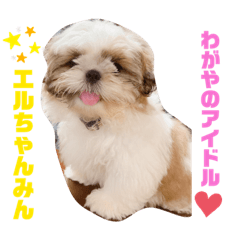 RISA_20200817191853