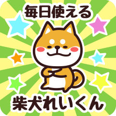 Petit Shiba Reikun (Everyday)