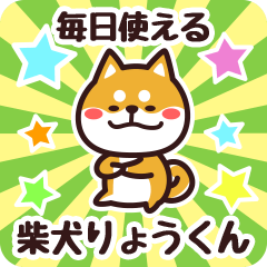 Petit Shiba Ryoukun (Everyday)