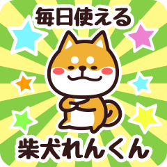 Petit Shiba Renkun (Everyday)