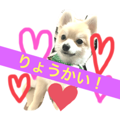 Kotanu_20200817180345