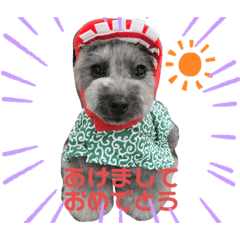 nanami_20200817223340