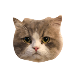 natsumi_20200817232248