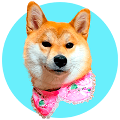 Shibainu RAN-CHAN