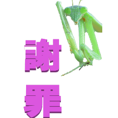 two Chinese characters From Mantis-BIG