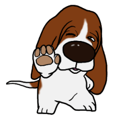 Basset hound 9(dog)