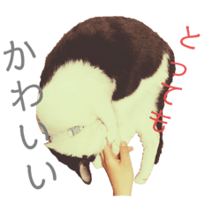 suzu_20200818124236