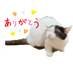 sayuri_20200818083329