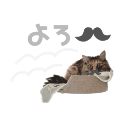 risa_20200818115955