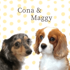 Cona&Maggy 2