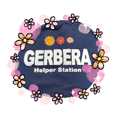 GERBERA_20200818134550