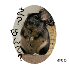 omochi_20200818125226