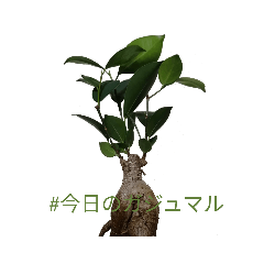 KING_20200818140448