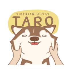 Taro Siberian Husky 1 (animated ver.)