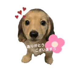 yukari_20200817203416