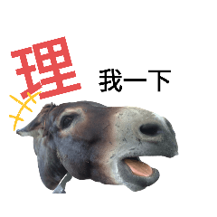 動物謎之語