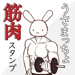Muscular Rabbit USA-MACCHO