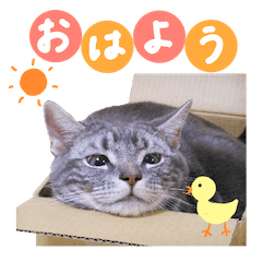Jiji_Stamp