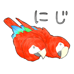 インコっぽい鳥(2文字)
