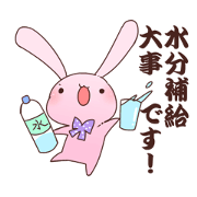 Somehow hard rabbit 3