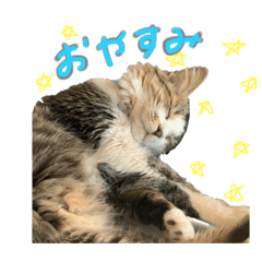 ima_20200818201542