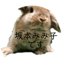 akiko_20200818231757