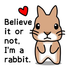 I'm a bunny named Mokotan (English)