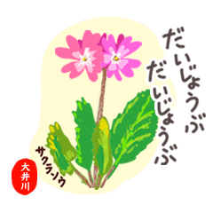 OOIGAWA Hanakeigo no.8252