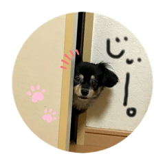 kanae_20200818195642