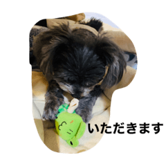 Michiko_20200818213816