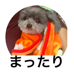 Michiko_20200818214138