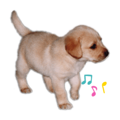 Saori_20200818205420