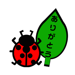 Lady beetle 16 type