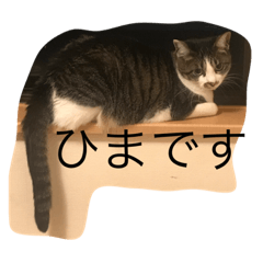 mizuki_20200819010331