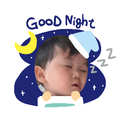 panda_20200819073633