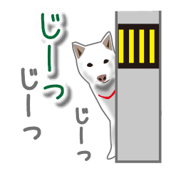 うちの犬が一番 Line スタンプ Line Store