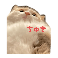 yamada_20200819011847