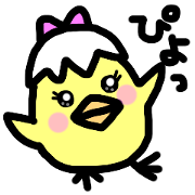 chick everyday chick everyday