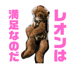 tanuchan_20200819030954