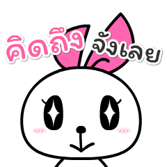 ลูเน่ กระต่าย ดุ๊กดิ๊ก