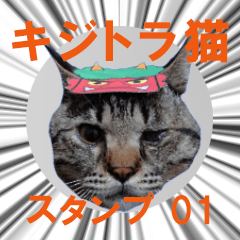 Brown tabby cat sticker (series 01)