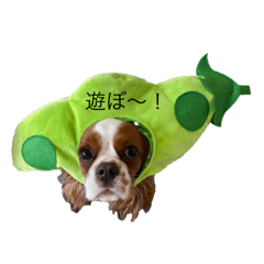 chie_20200819110101